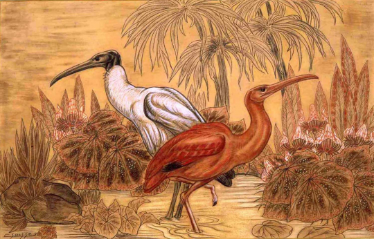 Gaston SUISSE (1896-1988) - Ibis sacré du Nil, ibis rose, dans les caladiums. 1935.