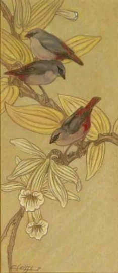 Gaston SUISSE (1896-1988) - Astrild dans les fleurs de vanille