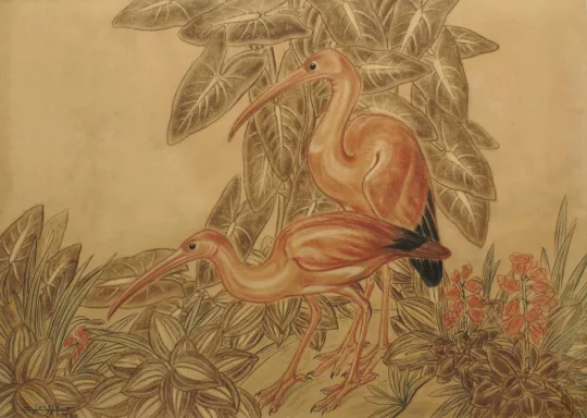 Gaston SUISSE (1896-1988) - Les ibis roses 1931