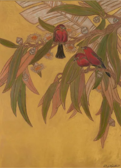 Gaston SUISSE (1896-1988) - Tangaras dans les eucalyptus. Vers 1932.