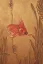 Gaston SUISSE (1896-1988) - Poissons japonais dans les Gorgones. Vers1930.