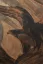 Gaston SUISSE (1896-1988) - Aigles bateleurs. Vers 1928. (Pastels)