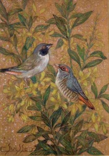 Oiseaux branchés