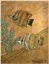 Gaston SUISSE (1896-1988) - Poissons exotiques (Pyrogravures)