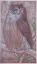 Gaston SUISSE (1896-1988) - Grand duc (Pyrogravures)