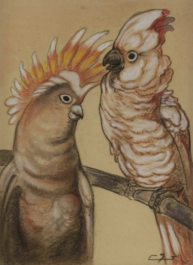 Auction by "Ader SVV" du 09/12/2022 - Cacatoes (lot n°237)