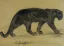 Vente par "Saint Germain-en-Laye Enchères" du 24/02/2019 - Panthère noire marchant. C1920. (lot n°197)